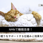 nmn-sleep-quality