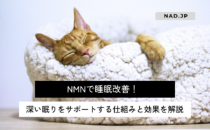 nmn-sleep-quality